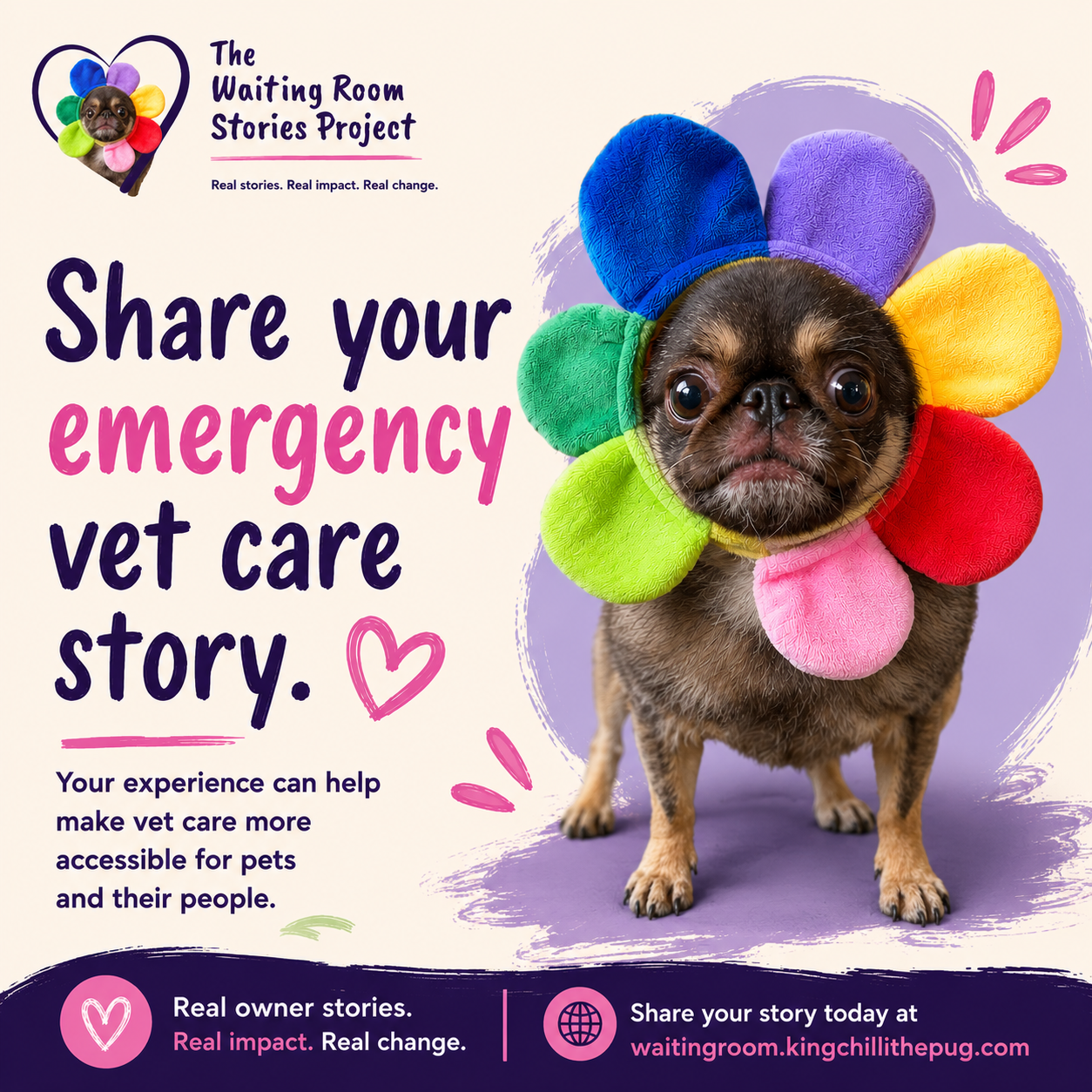 The Waiting Room Stories Project graphic with Chilli in a flower hat and the words Share your emergency vet care story.